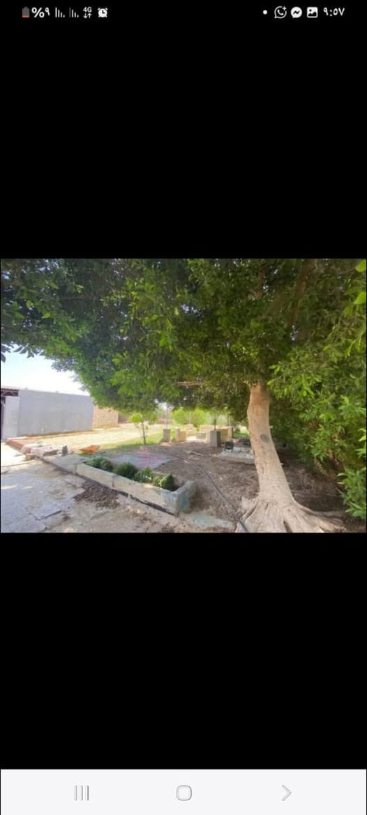 استراحه حي الوكسي شارع  مقابل سوار سالم طرشاني... 50*20...... سعرها 150وراقها تمام..وابجنبها قطع ارضي 20*50


**إذا كنت صاحب هذا الإعلان وتريد حذفه لأي سبب، رجاءا أرسل رسالة إلى الدعم الفني**