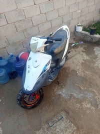 عدلة • بوشه ٥٥ • كربلاء