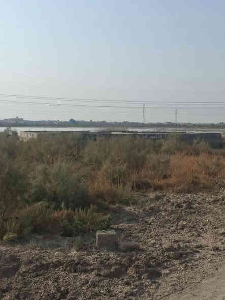 متوفر قطعه طابو زراعي مساحة 500 العنوان الهاثه شارع المسحل مقابيل سيد سامي السعر15 مليون مع بتلو 
*********** اخوكم قصي السيلاوي استقبل كافه عروضكم
