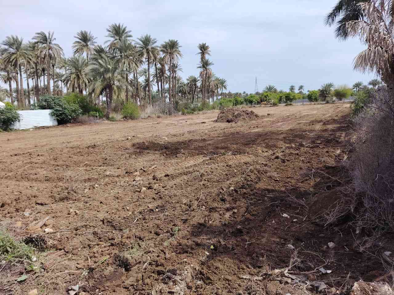 سلام عليكم 
آرض زراعية طابو سند (25) 
المساحة 4000متر مربع 
الواجهة 30م والنزال 100م
خدمات كافة
(ماء_كهرباء_تبليط) 
بالقرب من مجمع الزمرد او مدرسة العليمية الابتدائية
بالقرب من نهر دجله تعبد 500م عن النهر 
تحويل مباشر 
الاتصال على صاحب الارض او الاستفسار
*********** مصطفى قيصر.
