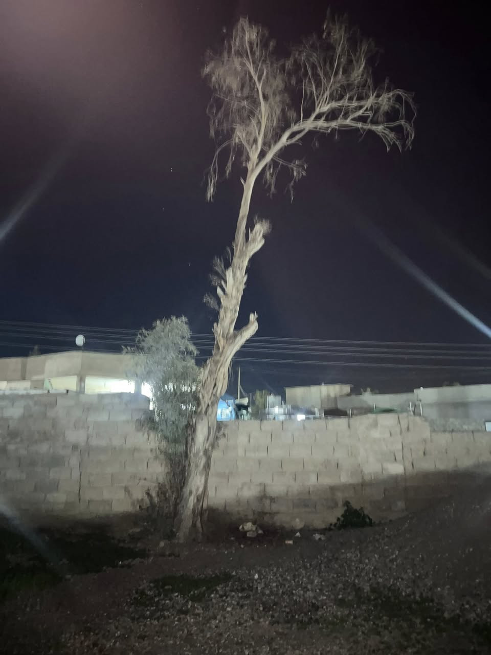 السلام عليكم سجره ونص للبيع المكان قريه السفينه تعال جيب العده وكصكصهم وحنه نعاونك ***********
