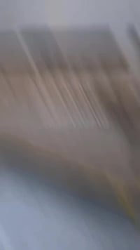 توفر عدنه تخم ديوان اسعار مناسبه عروض  تواصل واتساب اتصل07861018841