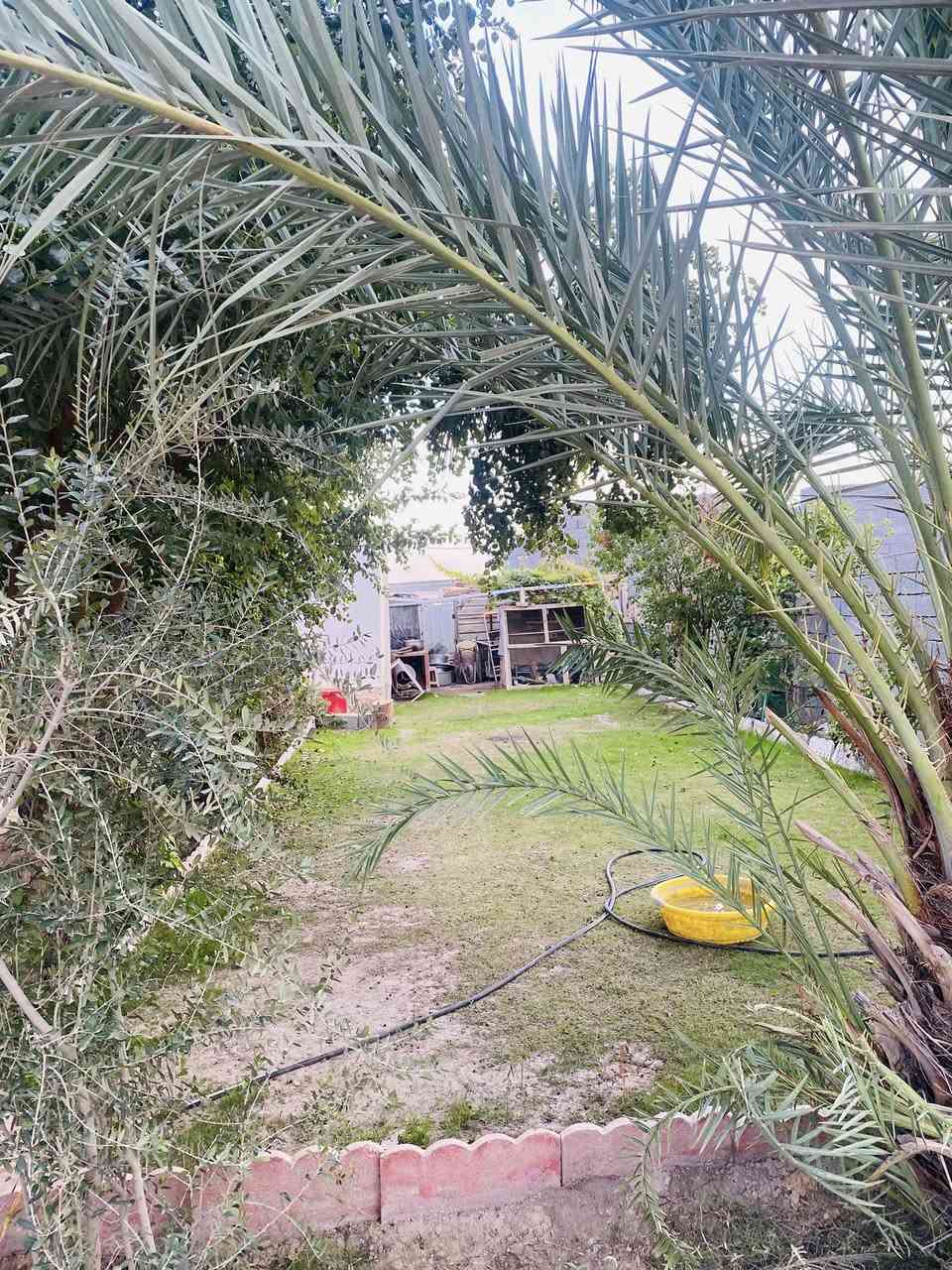 بيت للبيع في الفلوجه منطقه البچويله خلف محطة كهرباء الفلوجه البيت مساحته ١٦٠متر مع قطعه ارض ١٥٠متر بيت نضيف وجديد متكون من ثلاث غرف وصاله ومطبخ حار وبارد وديوانيه تحويل ثاني يوم كافه الخدمات مي وكهرباء ٢٤ساعه الاستفسار ***********
