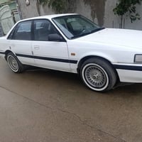 موديل ١٩٩١ • بدون صبغ • رقم سليمانيه