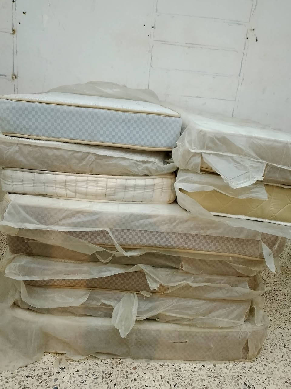 السلام عليكم. وصول وجبه من دواشك
تركي  ضغط عالي.  نفرين وا نفر 👍 وبسعر.  مناسب تصل وتدلل   ***********
