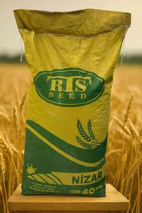 🌾🟢متوفر الآن 🟢🌾  🌾حنطة نزار من شركة RTS🌾  🟢شركة الريف الخضراء للتجارة ...