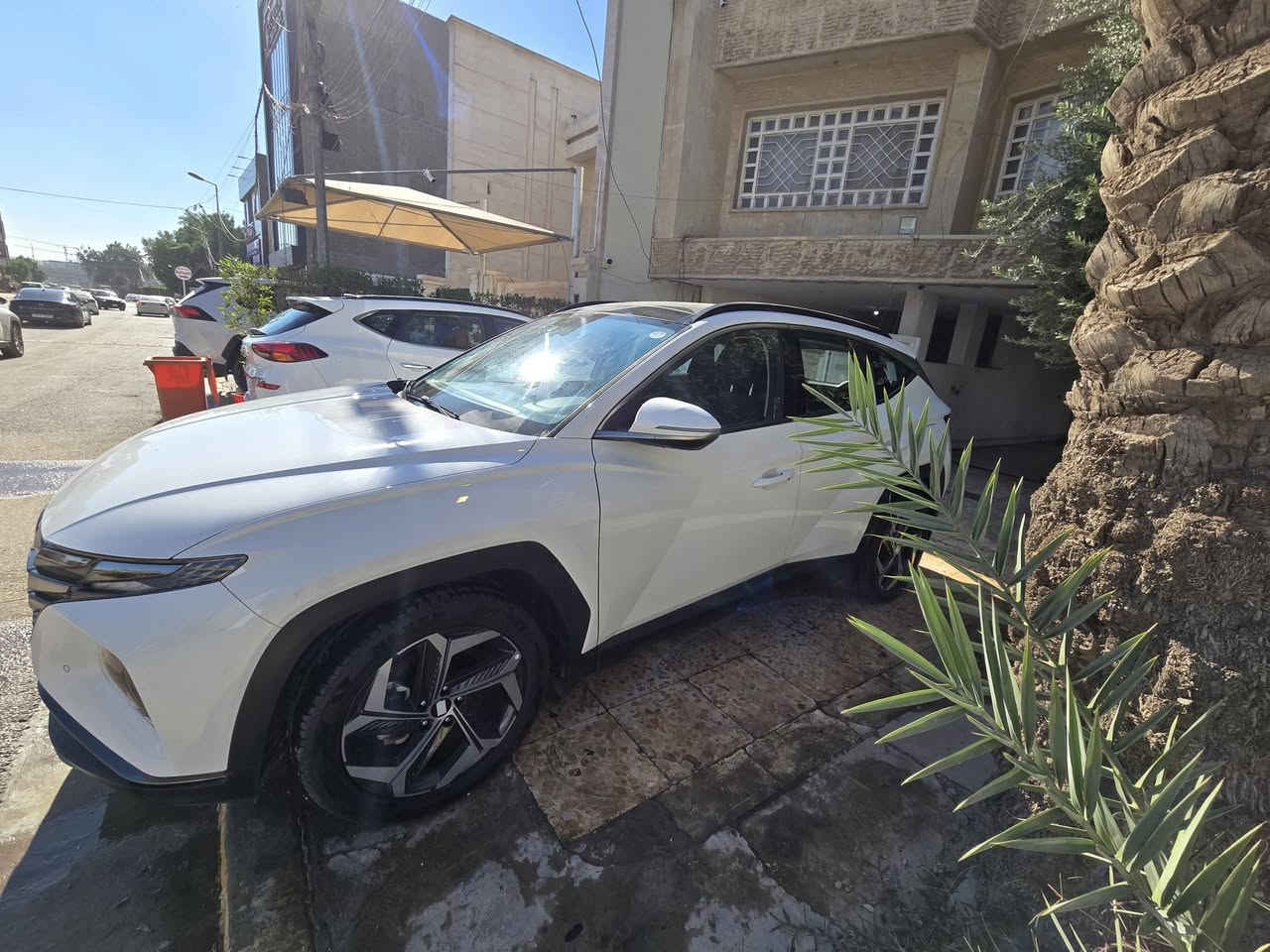 توسان موديل ٢٢ خليجي فول ماشي ٣٤ مابيها صبغ بيها بارد بسيط كلش و ممبين


**إذا كنت صاحب هذا الإعلان وتريد حذفه لأي سبب، رجاءا أرسل رسالة إلى الدعم الفني**