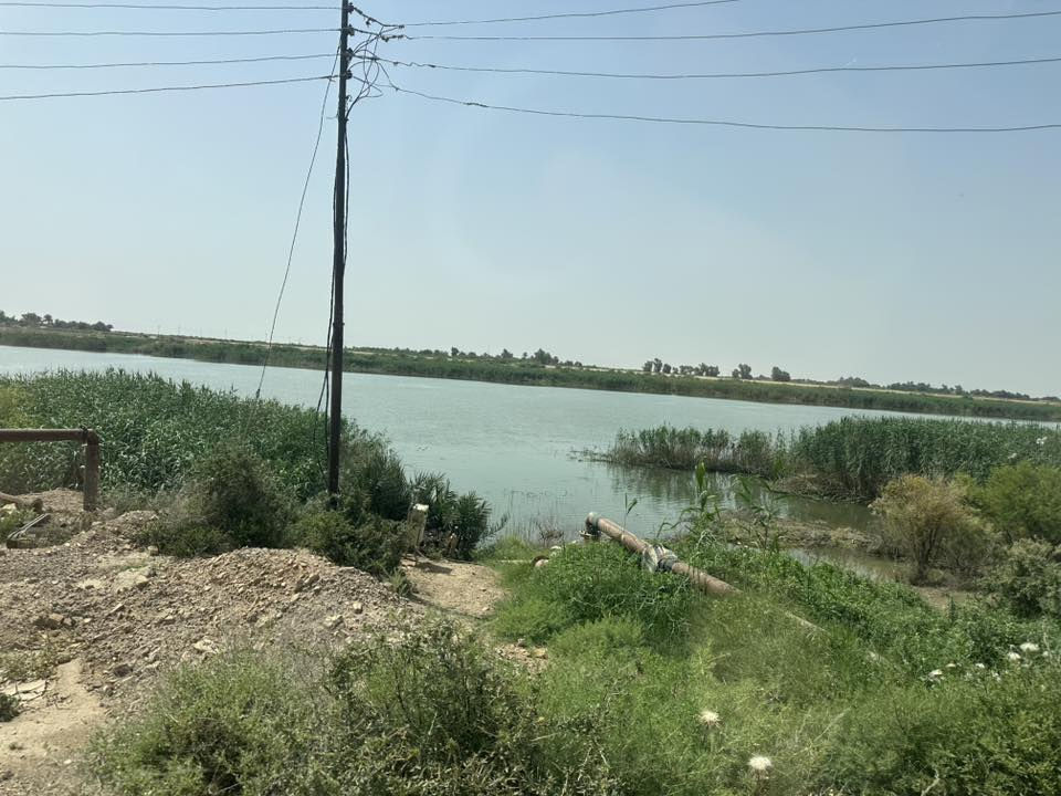 السلام عليكم ارض زراعيه للبيع المساحه 100 دونم طابو سند 25 تقع على ضفاف نهر دجله بين ناحيه شيخ سعد والكوت. 20 كيلو عن مركز مدينة الكوت ماطور خاص بل ارض مع بيت  متوفر اساله مدارس مركز صحي باقي تفاصيل الاتصال على الرقم 
***********
