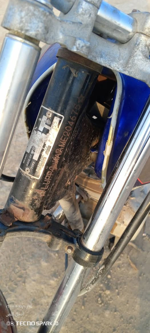 ***********
***********
2021
400
