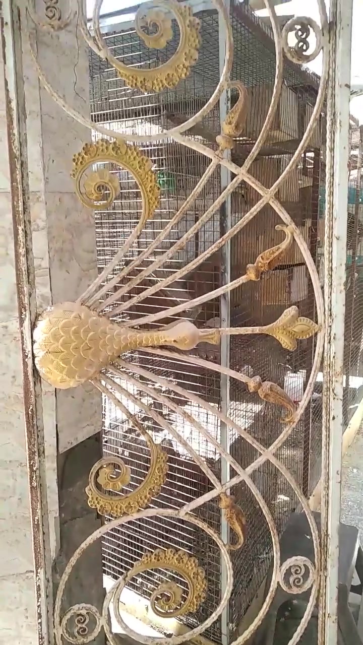 حله مركز 
توصيل داخل مركز الحله ***********
