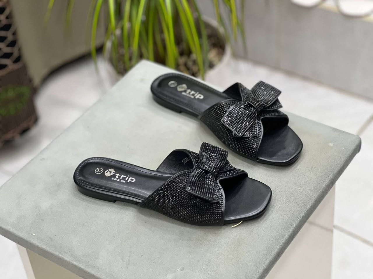 #موسم_العيد #2026 
إطلاله جميلة سليبر ماركه ❤️
فلات الوزن:صفر قياس 37-41
#توصيل كل محافظات العراق 🇮🇶


**إذا كنت صاحب هذا الإعلان وتريد حذفه لأي سبب، رجاءا أرسل رسالة إلى الدعم الفني**