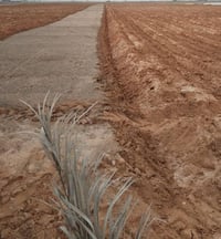 مزرعة ٥٠ دونم • الكيلو ١٤ • ٣ بيوت