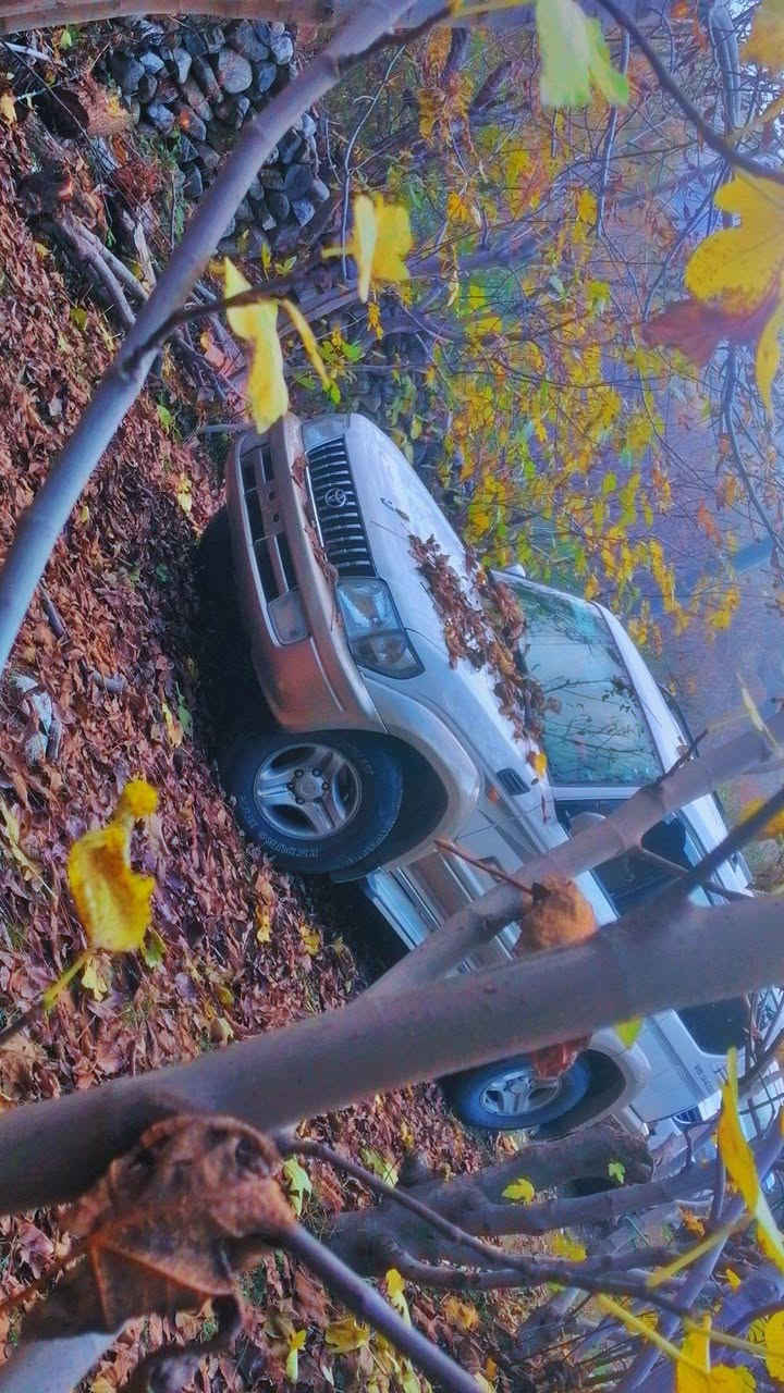 پڕادۆ ٢٠٠١
بێکێشە زۆر جوانو پاک ماوەتەوە
بێ بۆیاخ تەنهابۆنیتی بۆیاخەبۆ جوانی 
6بستۆن دەبڵ ئەکسل 
گێر ئۆتۆماتیک
نرخ:100$وەرەقە
ژ.م  *********** بۆزانیاری زیاتر پەیوەندی بکە بشدار, السليمانية
