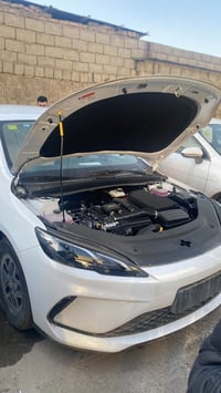 ٢٠٢٥ • شهرين • أربيل