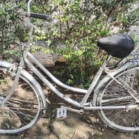 بايسكل بناتي • حجم ٢٧ • حي العامل