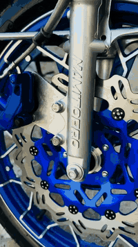 شباب وجبه جديده موديل 25و25بلادي الزرك25ولاسود26كلو شرط ***********
