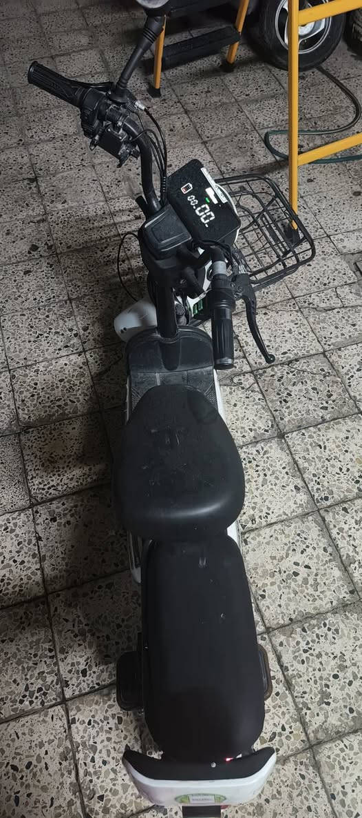 شحن البيع شغال بريكات شغال ليت اشاير هورن شغال السعر 160 الرقم ***********
