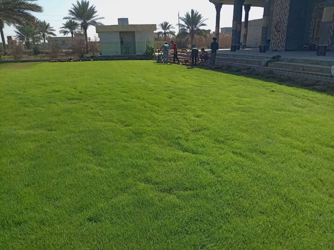 السلام عليكم////عرض رمضاني يخبل
اسعار مناسبة ازرع حديقتك بأافضل انواع الثيل الامريكي وخضار مع توصيل مجاني وعمل ديكورات بكل انواع الزينة ورزع الاشجار
للحجز والاستفسار
***********
وتساب
