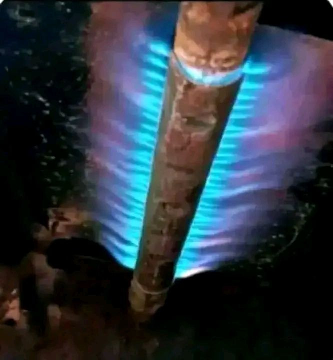🔥 سلام عليكم 🔥

صيانة وتصليح وتنظيف جميع أنواع الطباخات الغازية
بأيدي خبرة وشغل مضمون ✅

✔ تنظيف شامل وإزالة الدهون
✔ تصليح جميع الأعطال
✔ صيانة موقعية — نجيكم لباب البيت 🚐
✔ توفير قطع غيار أصلية

خلي طباخك يرجع مثل الجديد ✨

📞 للتواصل والاستفسار:
واتساب + اتصال
***********
