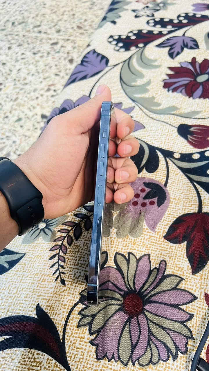 للبيع: iPhone 13 Pro Max 📱
• الحالة: نظيف جداً (فول نظافة).

• المساحة: 128جيجابايت.

• البطارية: 80%.

• اللون:بحري

•دبل سيم

•جهازي نورمال ضد المي مايعبر هوا

•سعر 650


**إذا كنت صاحب هذا الإعلان وتريد حذفه لأي سبب، رجاءا أرسل رسالة إلى الدعم الفني**