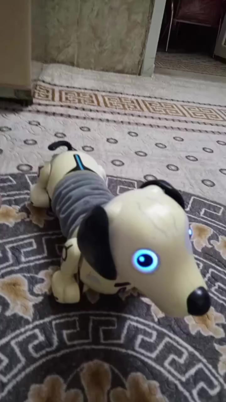 لعبه باله كندي بهذه الشكل كلش حلوه تشتغل حساسات ب15 فقط


**إذا كنت صاحب هذا الإعلان وتريد حذفه لأي سبب، رجاءا أرسل رسالة إلى الدعم الفني**