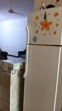 فول تجميد • ثلاجة • ضباط البلديات
