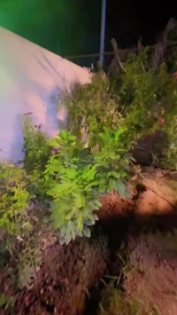 سده بيت حسوني • مزرعة • ٣٠٠م