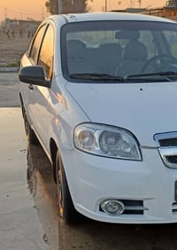 افيو • ٢٠١١ • رقم اربيل