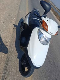 سبيسي ياباني • كفالة عامة • شارع النفط