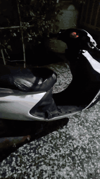 السلام عليكم دراجه فراشه ياباني بحاله جيده هندر كهربائيات تايرات شاصي مكفول مكان  كربلاء سعر 200بيها مجال للشراي *********** قفل جوزه قفل جنطه
