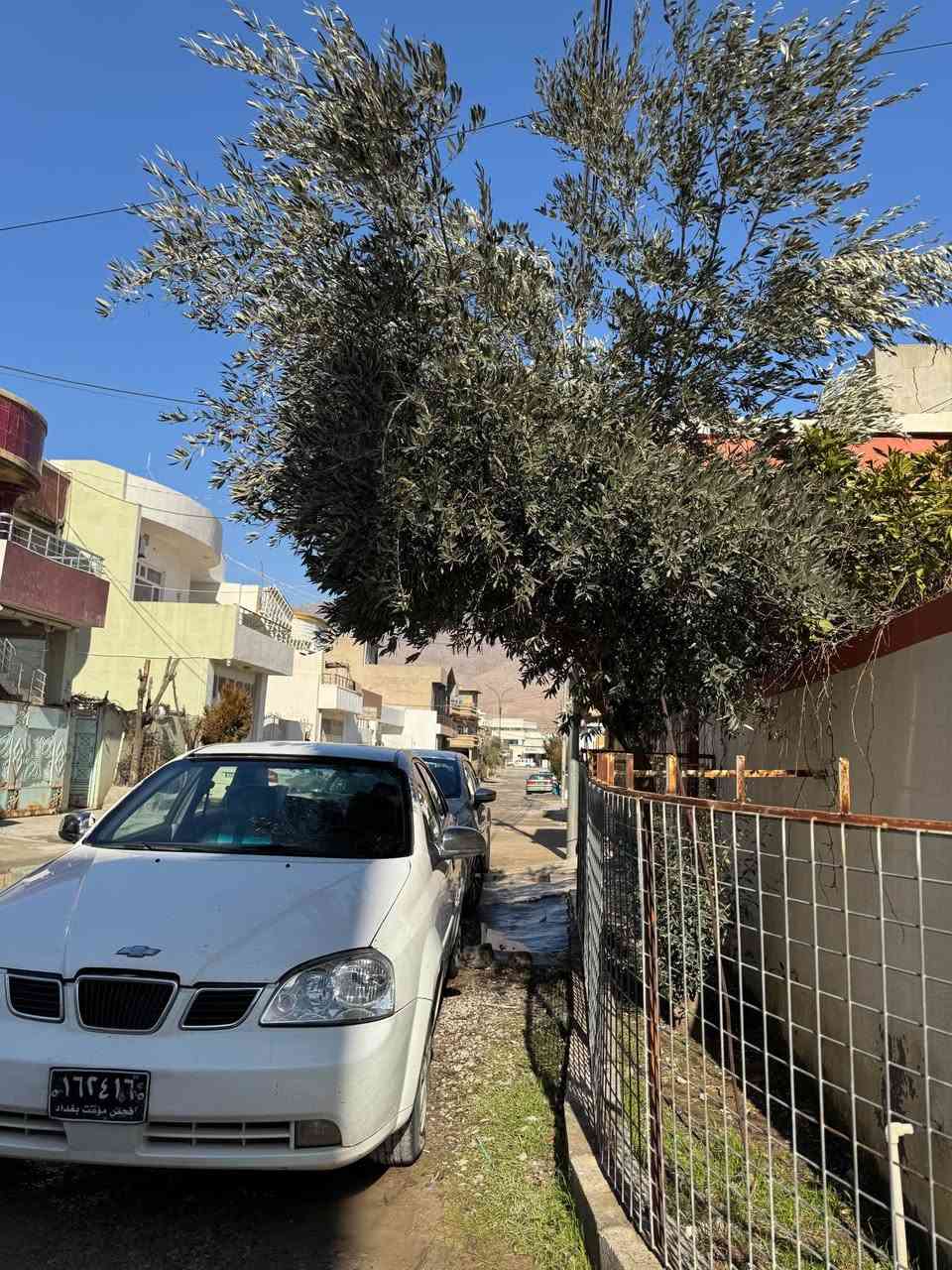 شۆفرلیت ئۆپترا بۆ فرۆشتن  ئارم و سەنەوی بەشەرت ئەولیات بێ کێشە بۆ هه مو کوردستان  پێ بکە و زەمانەتی ئەکەم و ئاڕەمەکەی بەشەرت.!! وە  💙
گیرو مەکینە بەشەرت 💙
دوجام کارەبایە کارەبا💙
بەرە دەرگاو دیشبولی زۆر خاوینە 💙
هه موی مەزبوتە  تەقەو رەقەی تیدا نیە 💙
چوار تایە لۆکی بۆ بەستراون  💙
سیارەکە لیدی ٧ ڕەنگی  بۆ جوانی  بۆ بەستراوە 💙
موس براوە بەشەرت 💙
نزیکی ساڵیکی و نیوە لای خۆمە کامل مەسرەفم لێ کردوە لە مەکینەوە بیگرە تا هەموو شتیکی !
٤ پارچەی بۆیاغە لەگەل دۆسیەکانیشی بۆیاغە 
نرخی 57$مەجال   💙
***********
تکایە موشتەری نیت سەرمان مەیەشینە رانية, السليمانية
