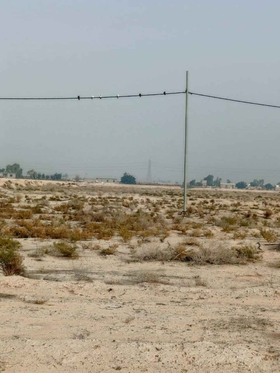 السلام عليكم للبيع مزرعه طريق نجف كربلاء تجاه طريق يا علي عمود 509 قرب شارع الميدان الذبه الثالثه عقد 25 دونم تحتوي علئ بئر ماء وكهرباء وشارع تبليط علما ان عقد المزرعه مجدد للاستفسار الاتصال على الرقم ***********
