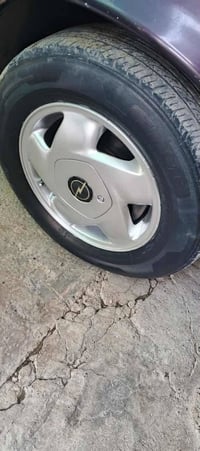 تخم ويل كب حجم 14 فكترا للبيع 07711341805