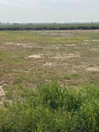 ٢٠ دونم • طابو سند • الكرطة كربلاء