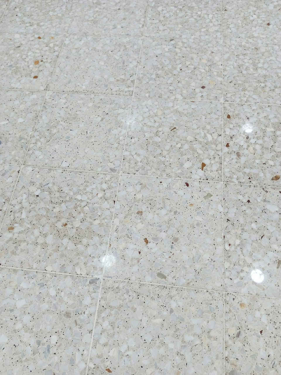 +964 780 801 3062
