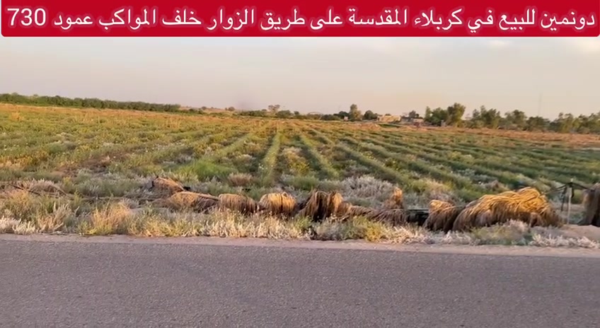دونمين للبيع في كربلاء المقدسة طريق ياحسين خلف المواكب الحسينية عمود 730
موقعه جدا راقي خدمات متكاملة منطقة سكنية مخدومة تصلح لسكن أو خدمة الزائرين 
سعر الدونمين 85 مليون 
للاستفسار اكثر الاتصال بنا 
***********
