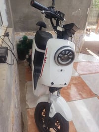 R11 • استخدام قليل • القرنه