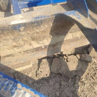 لاندبلين • عرضه ٢٦٥ • الخميسية