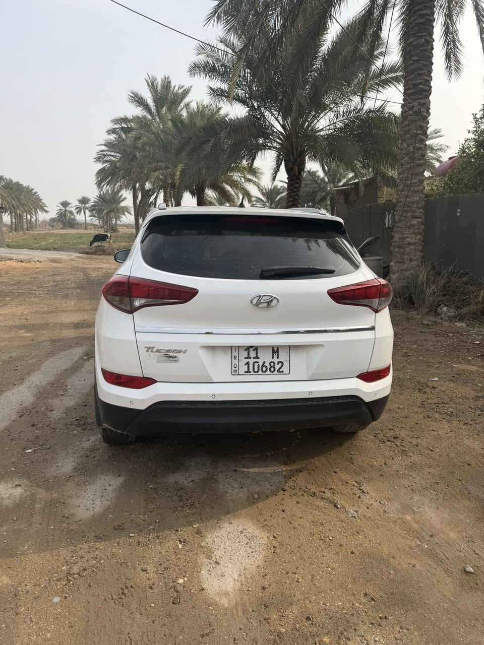 السلام عليكم 
توسان موديل ١٦ خليجي مكفوله من الصبغ بيها بارد بسيط مكينه وكير كفاله سنويه وهزه وأرقام جدد ماشيه ١٩٠ 

السعر ١٧٠ وبي مجال بسيط

مكاني بابل ***********
