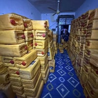 شباب جليكانات ابو ل30لتر يرهم ماي ونفط مال زيت نباتي مال اكل سعر 4جليك...