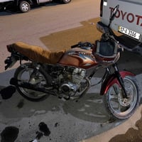 دايون • شغالة • طويريج