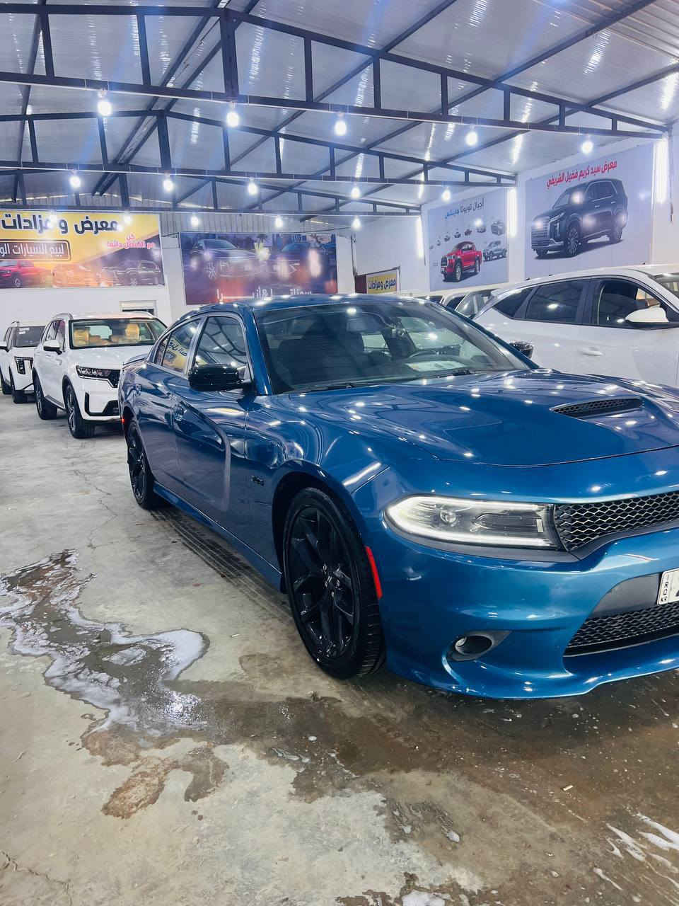 معرض ومزادات سيد كريم الشريفي
للبيع. 
دوج جارجر. 2023
مرقم. اربيل  دخول آخر. موديل. 2023
السياره مكفوله من صبغ 
مواصفات 
RT 
الصوت والفخامه.   
اي استفسار على الارقام التاليه 
***********
***********سيد كريم الشريفي.
العنوان الحله شوملي. شارع المعارض. قرب السيطرة 
حياكم الله
