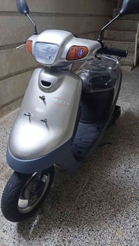 بوتين • فول • ٤٨٠