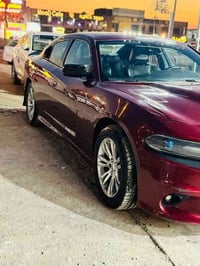 جاجر جيتي فول للبيع. 07705882369.          سعر 170