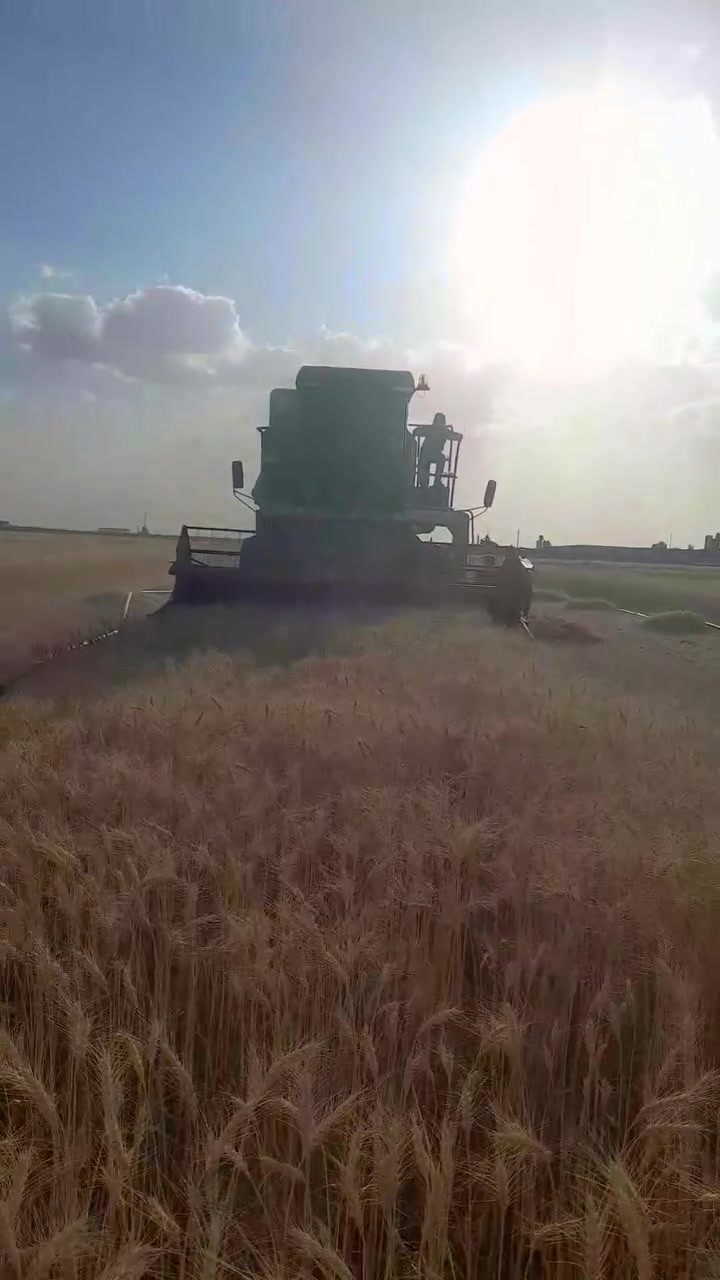 حاصده كلاص سنويه بسمي ابيع تحويل بدون وكاله موديل ١٩٩٨ تبريد بلادي قماره بلاديه مكينه بلاديه لحيم مابيه


**إذا كنت صاحب هذا الإعلان وتريد حذفه لأي سبب، رجاءا أرسل رسالة إلى الدعم الفني**