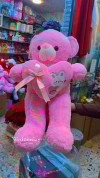 دب • توصيل مجانا