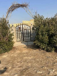 مزرعة للبيع 📍 الموقع: الديوانية – الشافعية، نزلت معمل  📐 المساحة: خمس ...