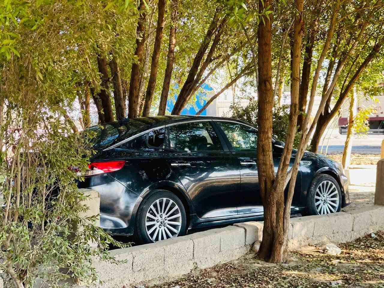 بسم الله الرحمن الرحيم
كيا اوبتما 2017

وارد امريكي 

حادث ها دعاميه خلفيه 

سونار مرفوق بالمنشور

 
رقم اربيل سنويه جديده   بسمنا 
   

السعر 125

العنوان بابل الشوملي 

***********
