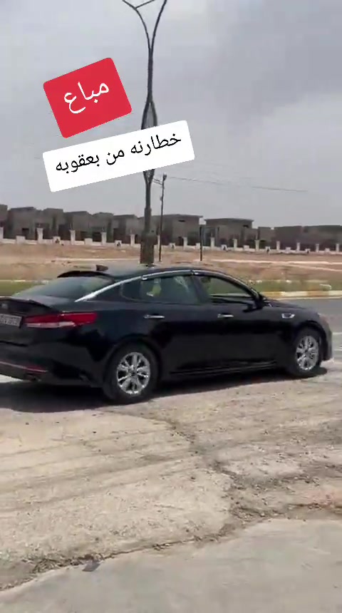 #حيدر_الجاف_كارس  #مباع 


**إذا كنت صاحب هذا الإعلان وتريد حذفه لأي سبب، رجاءا أرسل رسالة إلى الدعم الفني**