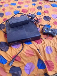 بلي للبيع السعر 80بغداد الشعب07731971492